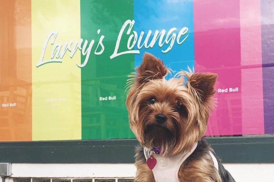 Larry's Lounge